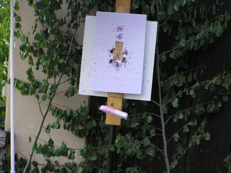 image18