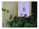 thumbnail25