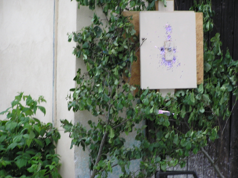 image50